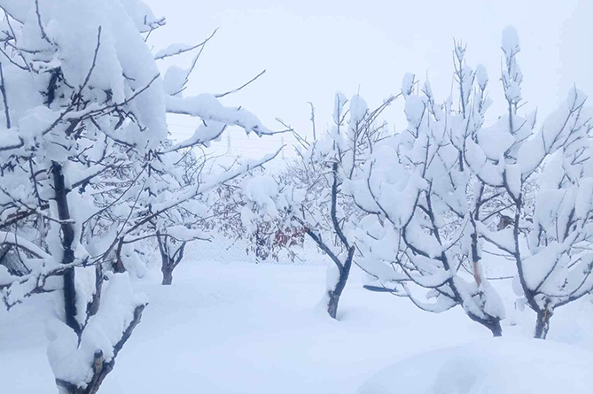 Снегопад, метель и туман прогнозируются в Армении в первых числах февраля