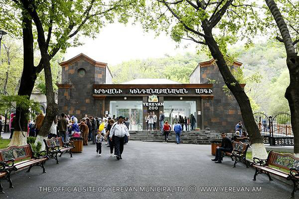 Медвежонок-сирота переехал в Ереванский зоопарк (ФОТО)