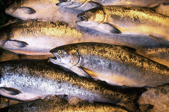 Ловись рыбка большая и маленькая: в Армении установлены требования к рыбакам-любителям