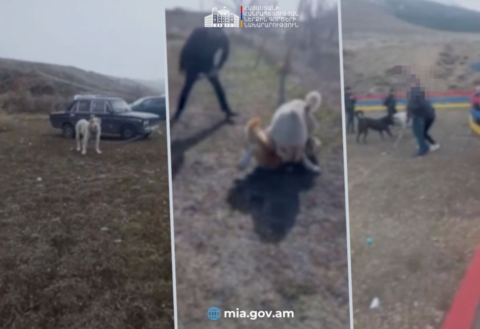  Полиция предотвратила собачий бой в городе Масисе (ВИДЕО) 