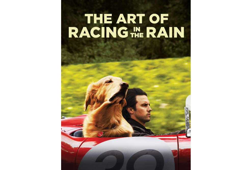 The art of racing The art of racing