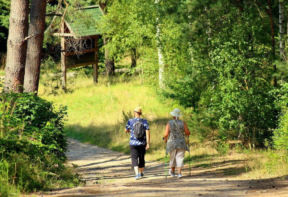 Природа против стресса: ученые рассказали о влиянии прогулок на психику