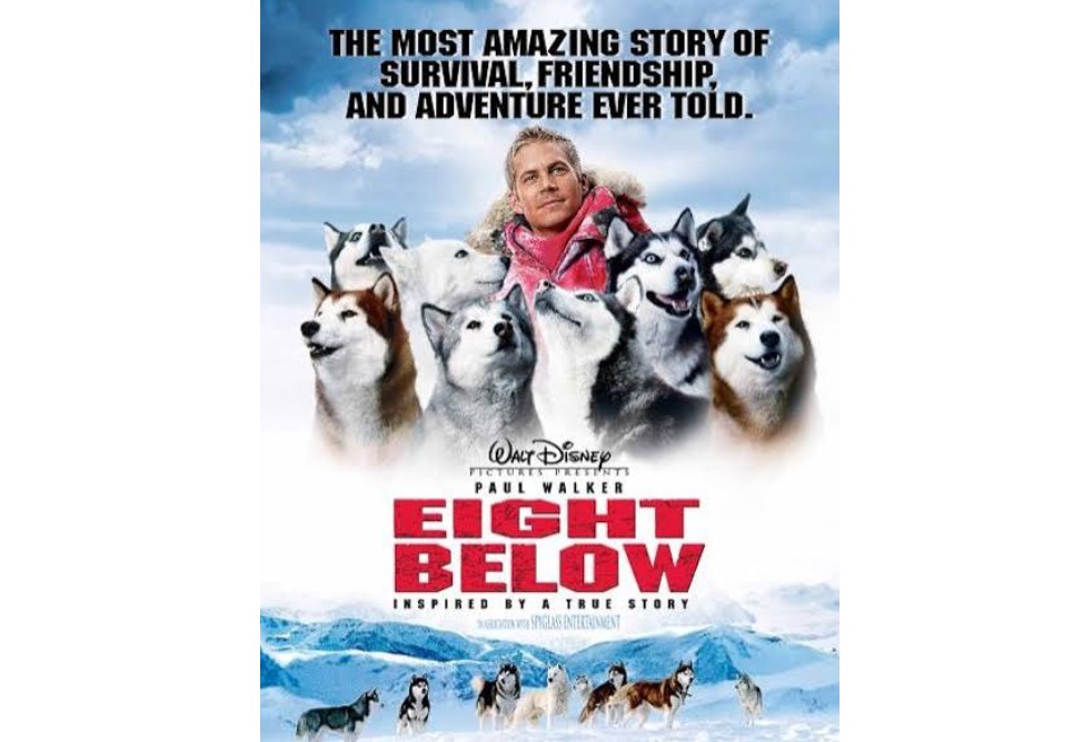 Eight Below Eight Below