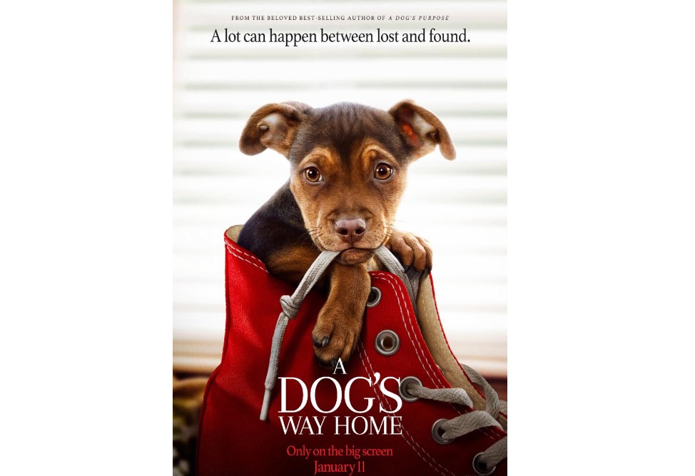 A Dog’s Way Home A Dog’s Way Home