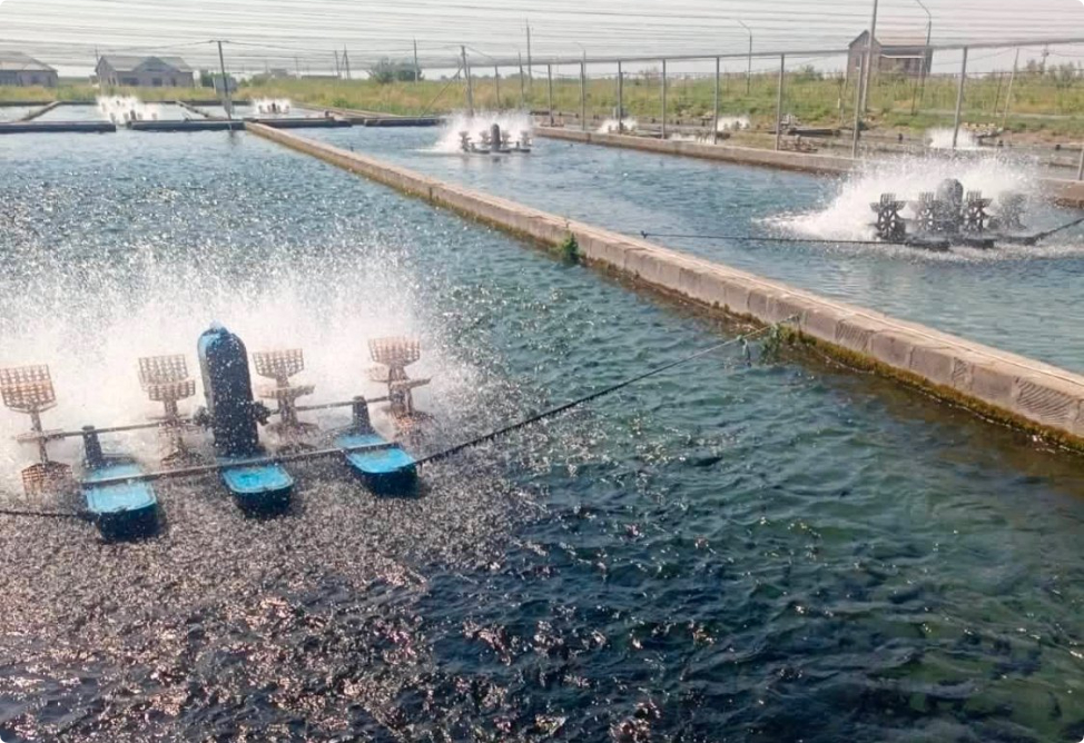 Շուրջ 60 մլն դրամի վնաս ջրային ռեսուրսներին․ ներկայացվել է հանցագործության մասին հաղորդում 