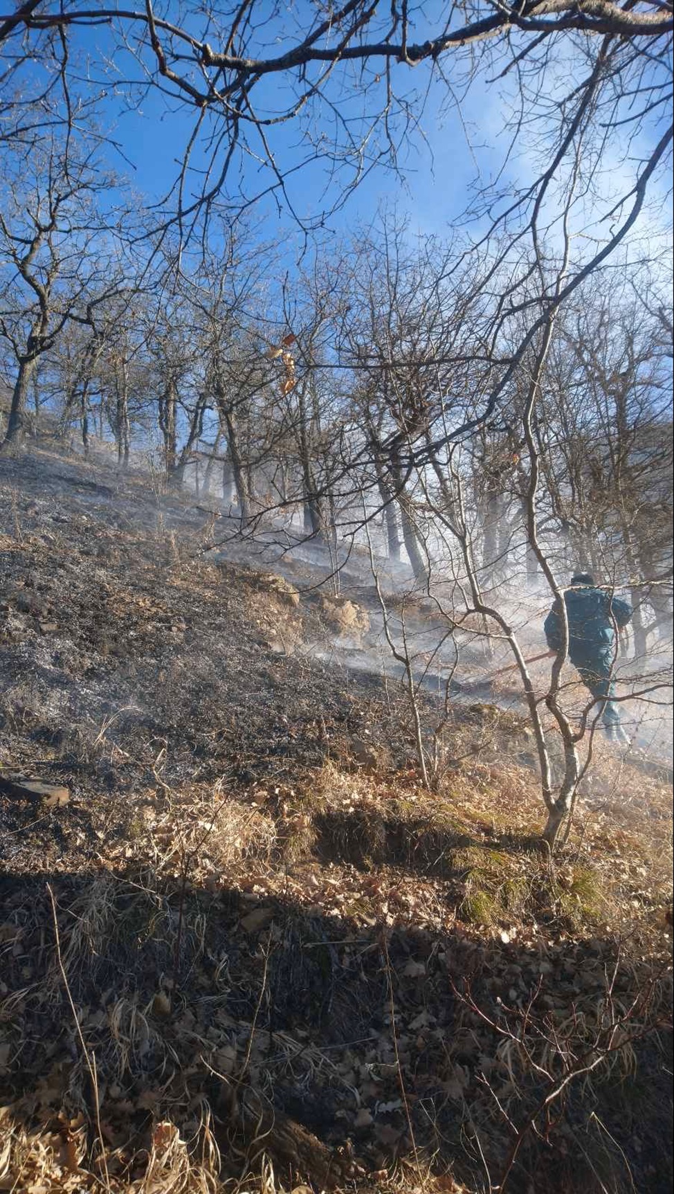 пожар Тавуш Гегаркуник