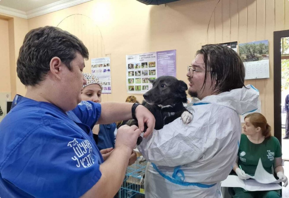 Կոնվերս Բանկը միացել է «ՔոՔո» և «Դինգո Թիմ» ՀԿ-ների նախաձեռնությանը (ՎԻԴԵՈ)