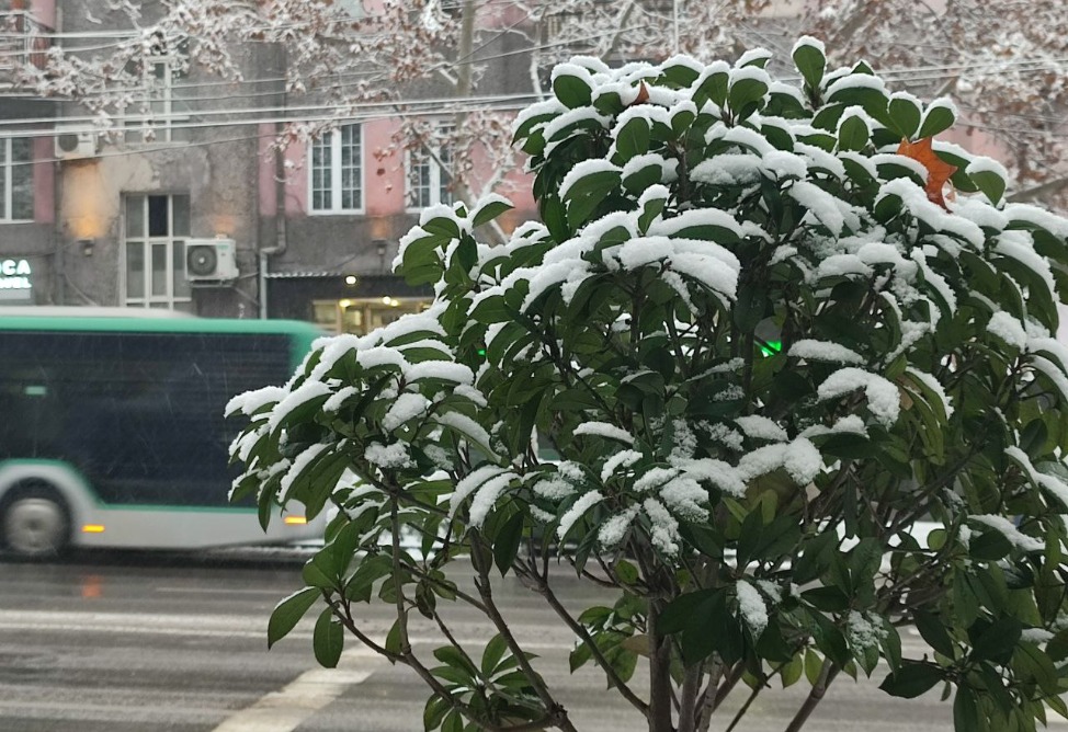 В Ереване - снег-0