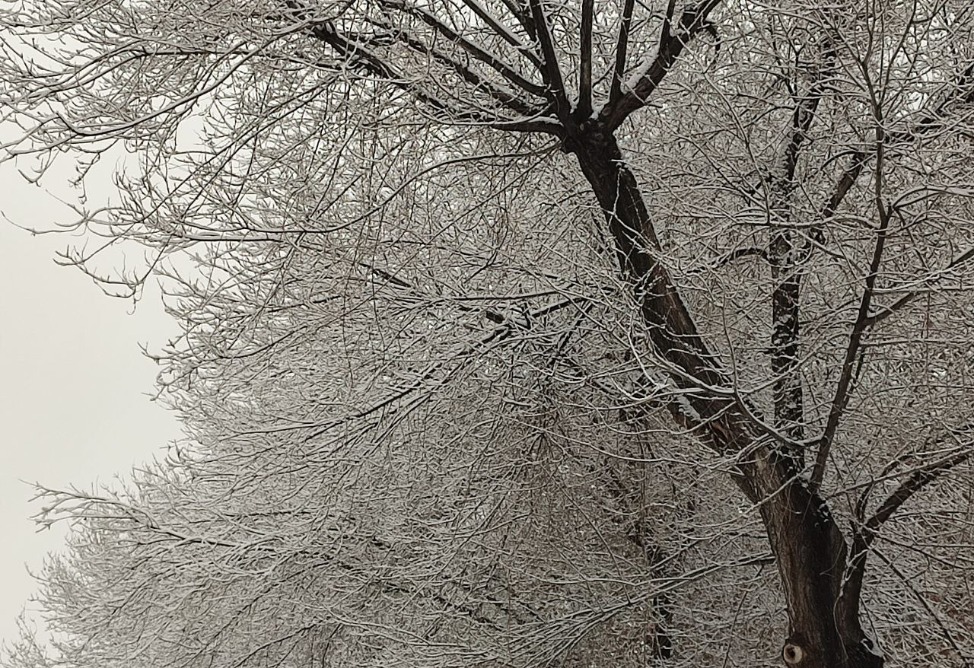 В Ереване - снег-1