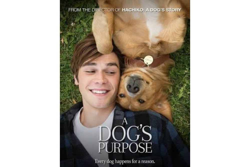 A Dog’s Purpose A Dog’s Purpose