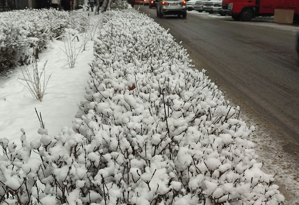 В Ереване - снег-6