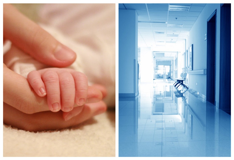 В Армении в январе 2026 года рождаемость снизилась на 11%, смертность – на 10,1%