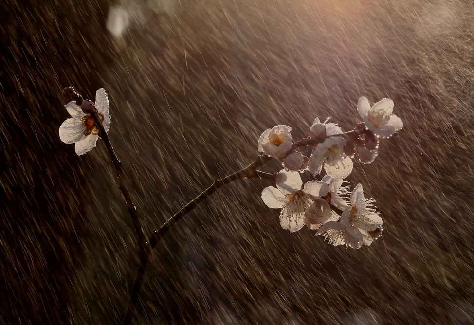 На Армению надвигается еще один циклон: ожидаются грозы и похолодание