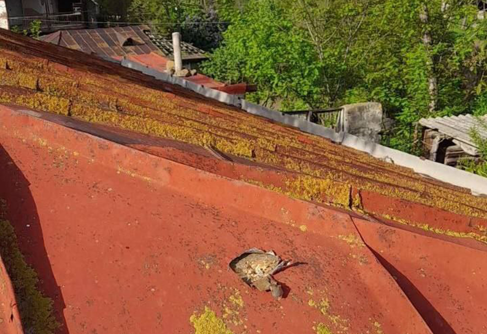 Азербайджан вновь обстрелял село Хнацах на юге Армении (ФОТО)