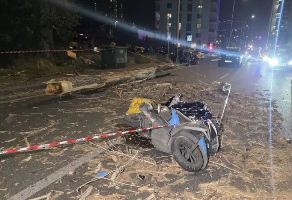 В Ереване дерево упало на движущийся мопед - водитель погиб