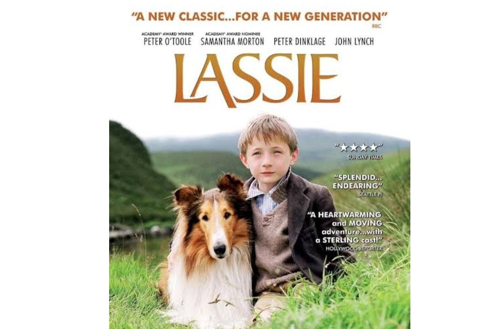 Lassie Lassie