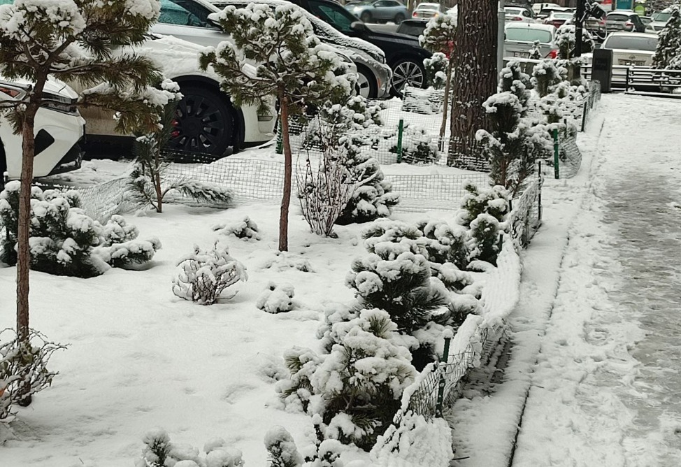 В Ереване - снег-4